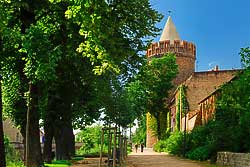 brandenburg havel, Steintorturm